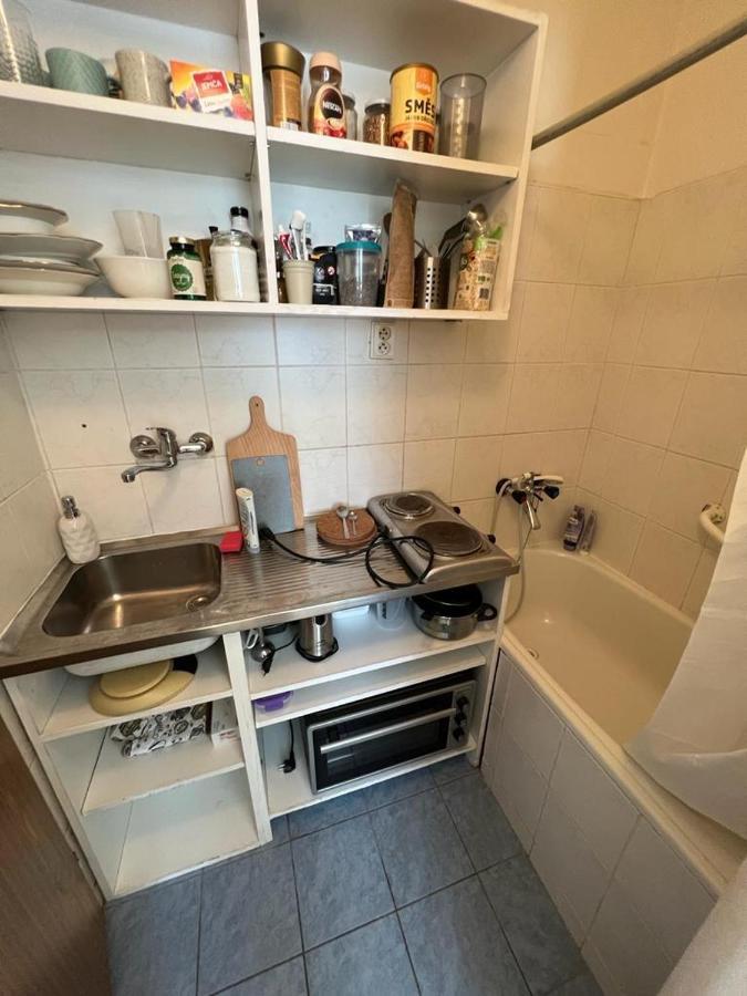 Apartment Lublanska 48 Prag Dış mekan fotoğraf